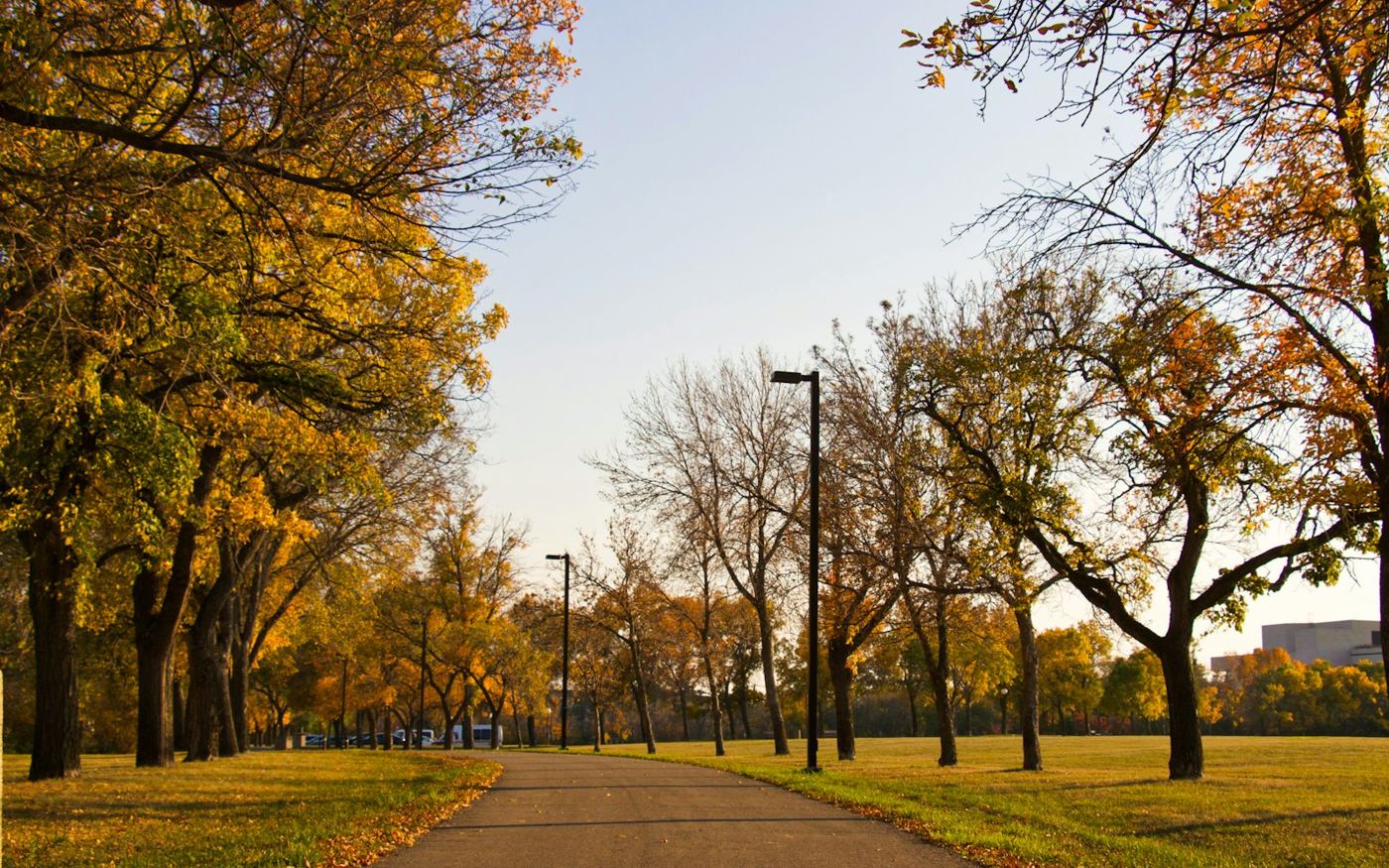 A tree-lined park path in autumn, Ontario